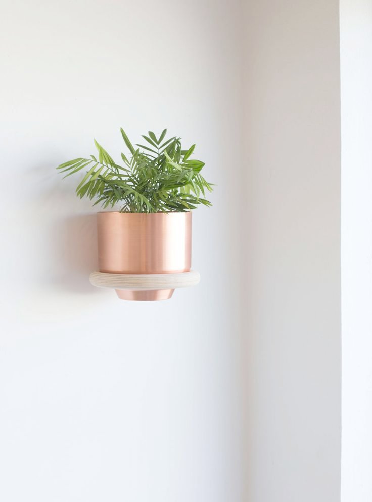 Delightful Indoor Wall Mounted Plant Holders Backordered Ring Wall Mount