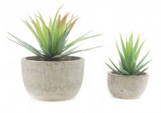 Awesome Mini Plants Amazon.com: Velener Mini Home Decoration Artificial Plants Aloe With Pots (Green, Set Of 2): Home U0026 Kitchen