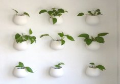Charming Indoor Wall Mounted Plant Holders Hanging Planters And Container Garden Ideas For Indoors