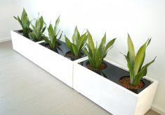 indoor plant box