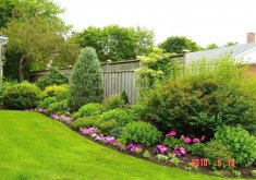 garden yard ideas