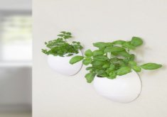 Lovely Indoor Wall Mounted Plant Holders Interior Design Ideas
