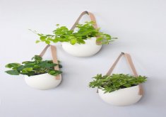 Nice Indoor Wall Mounted Plant Holders Set Of 3 Porcelain And Leather Hanging Containers By Light + Ladder · Hanging PlantsIndoor PlantsHanging Wall PlantersHanging ...