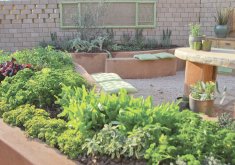 how to herb garden